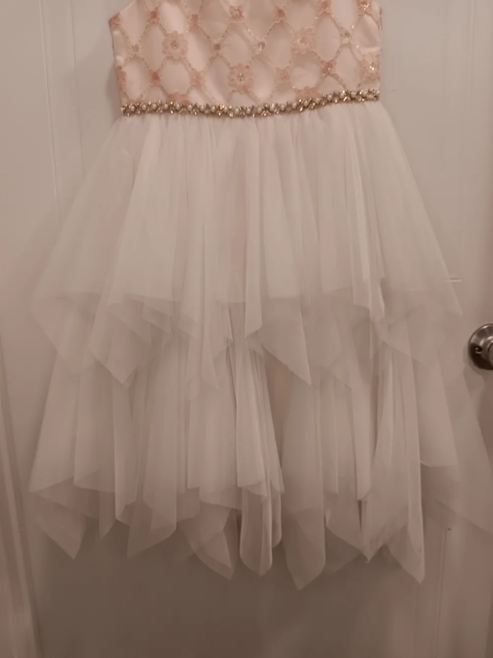 American Princess delicate blush